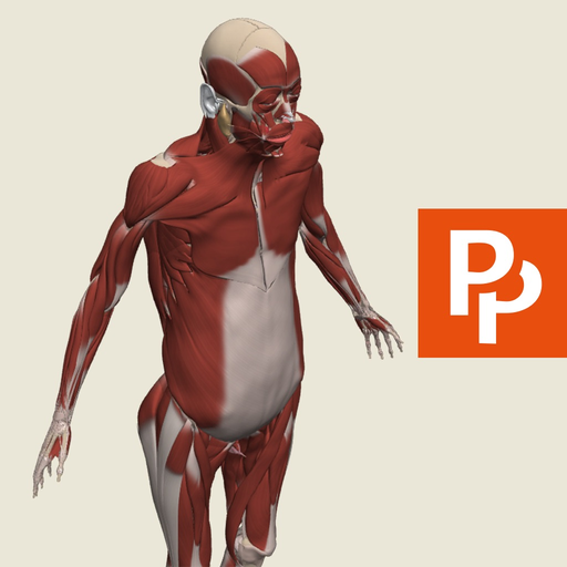 Anatomy.tv